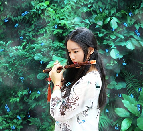 Chinese Bamboo Flute
